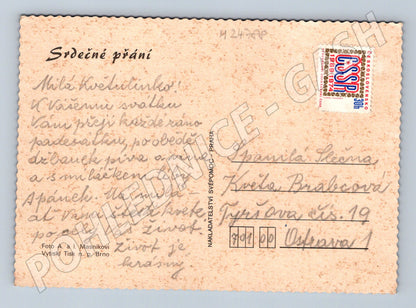 Pohlednice květiny v žárovce 198x (M24788)