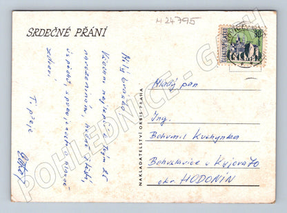 Pohlednice zátiší s květinou a sklenicemi (M24795)