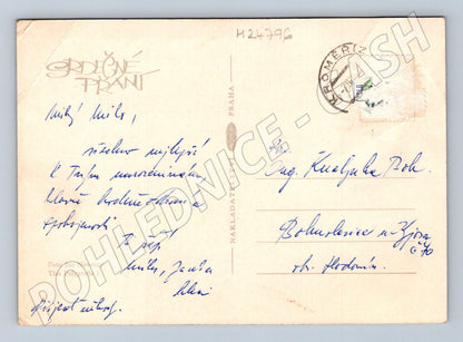 Pohlednice vlčí máky a kopretiny (M24796)