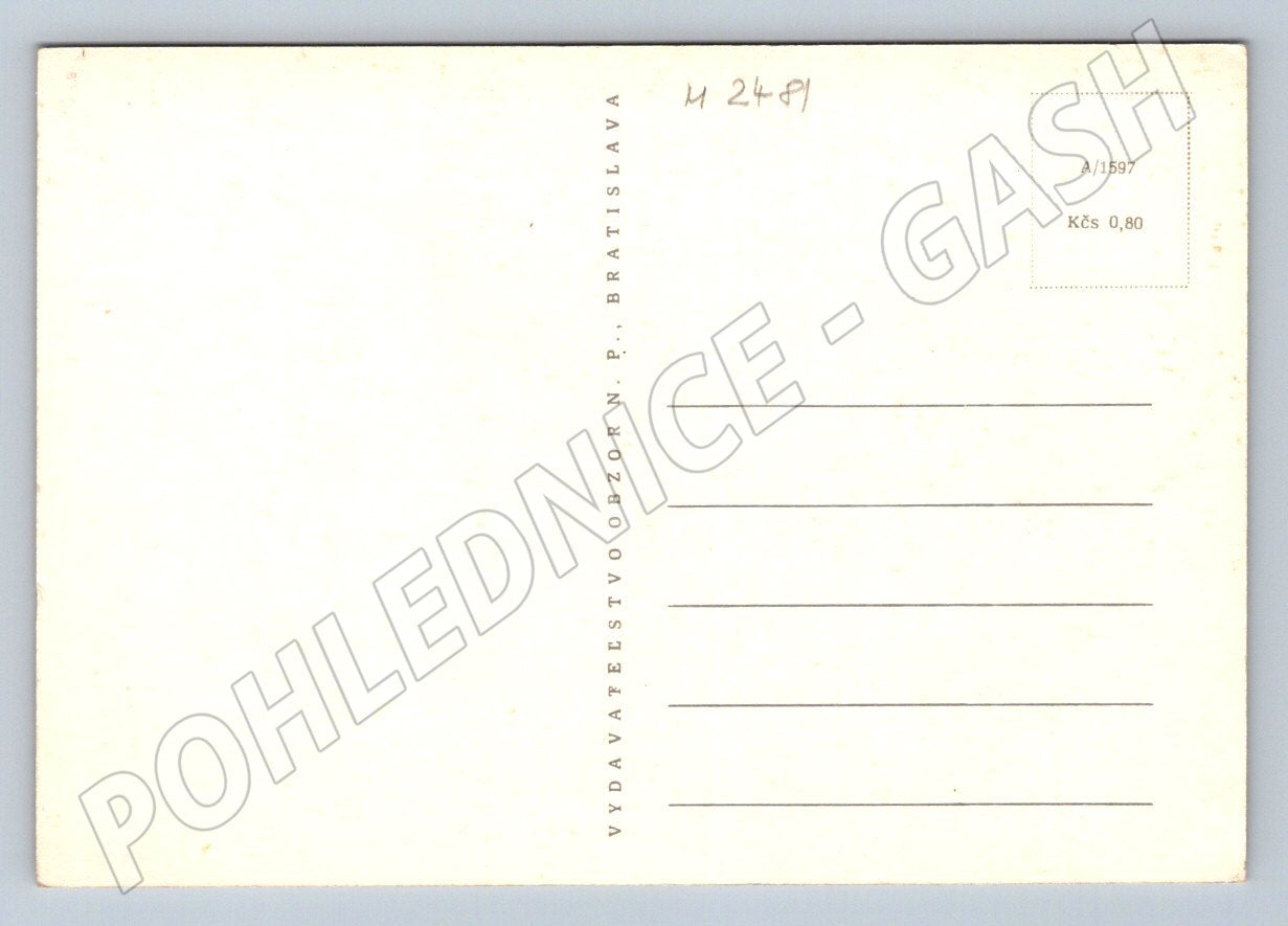 Teddy Bear Playing the Flute and Geese Ethnography (M2481)