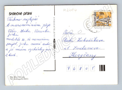 Pohlednice kytice lučních květin (M24814)