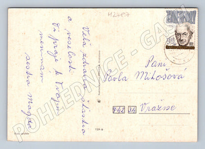 Pohlednice Slovensko Květiny 1979 (M24817)