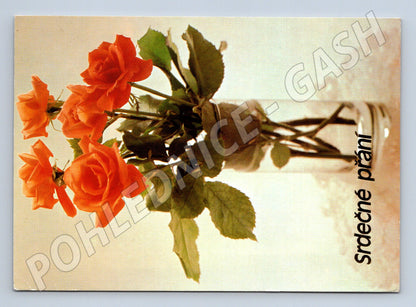 Pohlednice oranžové růže váza srdečné přání cca 1982 (M24824)