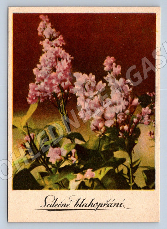Lilac – Heartfelt vintage greeting card (M2483)