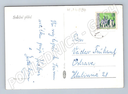 Pohlednice zátiší s květinami (M24834)