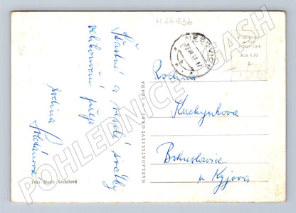 Pohlednice Jarní pozdrav květina 1937 (M24836)