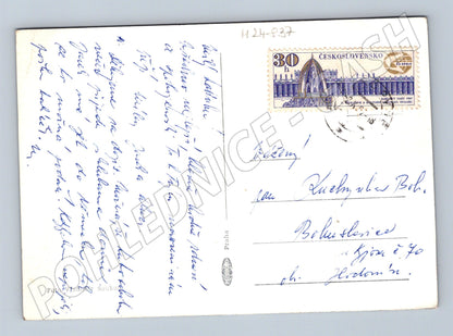 Pohlednice Tři bílé růže Srdečné přání 1961 (M24837)