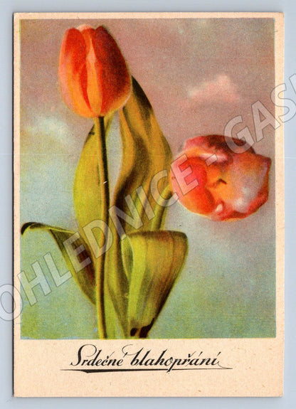 Tulips – Heartfelt vintage greeting card (M2484)