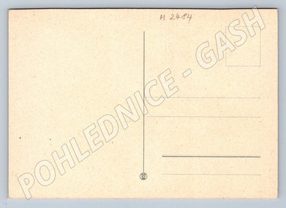 Tulips – Heartfelt vintage greeting card (M2484)