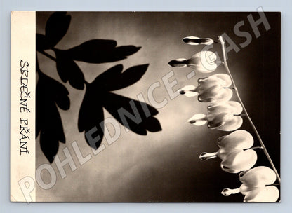Pohlednice Československo SRDEČNÉ PŘÁNÍ květina 1943 (M24844)