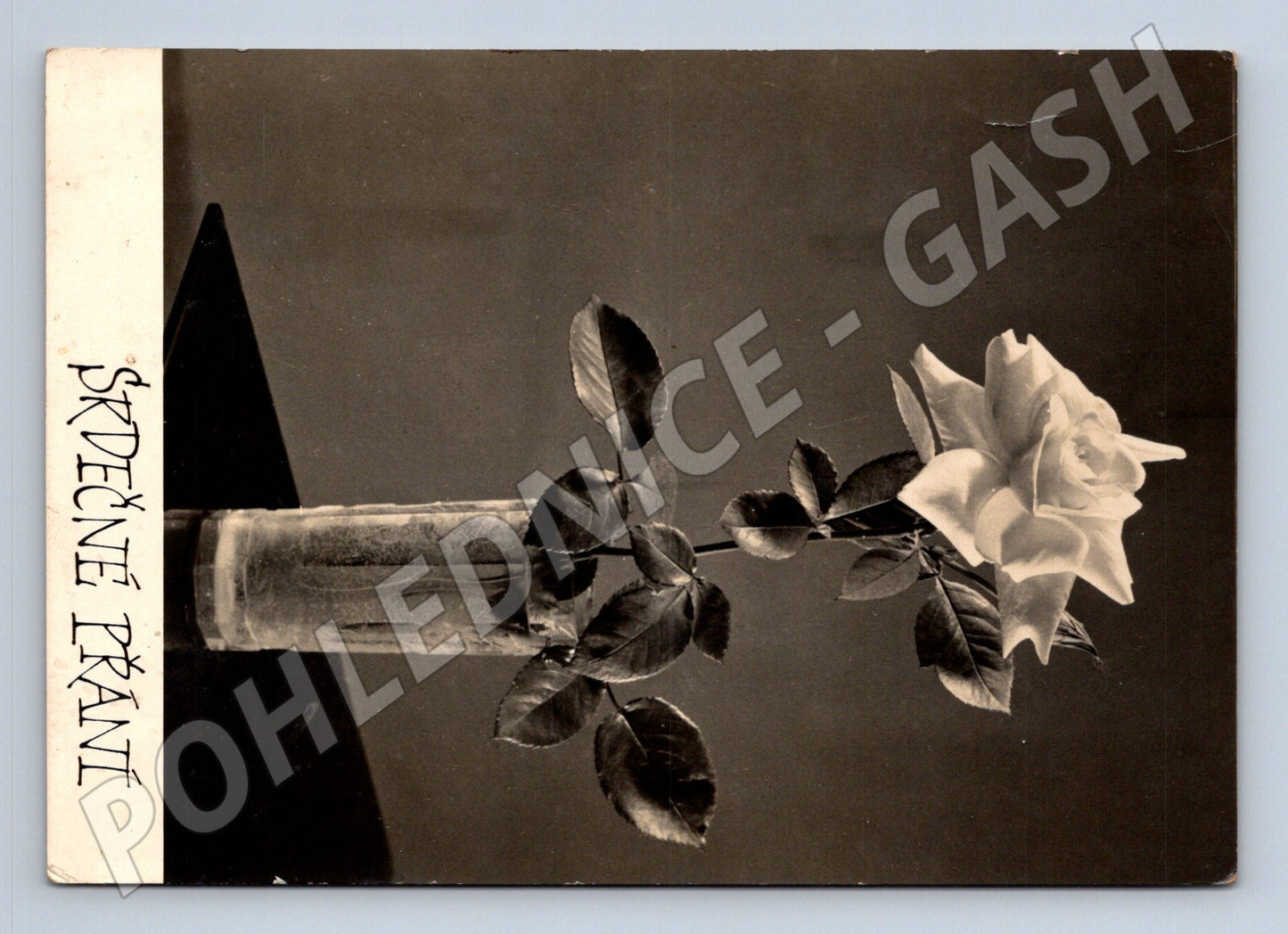 Pohlednice SRDEČNÉ PŘÁNÍ bílá růže 1968 (M24846)
