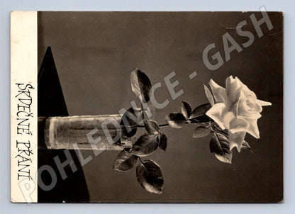 Pohlednice SRDEČNÉ PŘÁNÍ bílá růže 1968 (M24846)