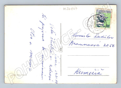 Pohlednice květiny 1969 (M24847)