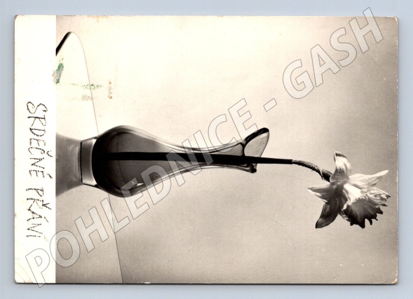 Pohlednice SRDEČNÉ PŘÁNÍ žlutý narcis váza 1946 (M24849)