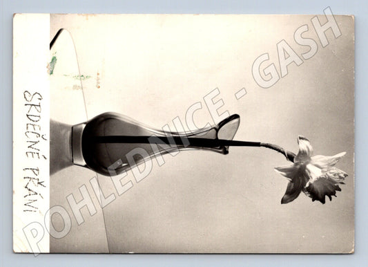 Pohlednice SRDEČNÉ PŘÁNÍ žlutý narcis váza 1946 (M24849)