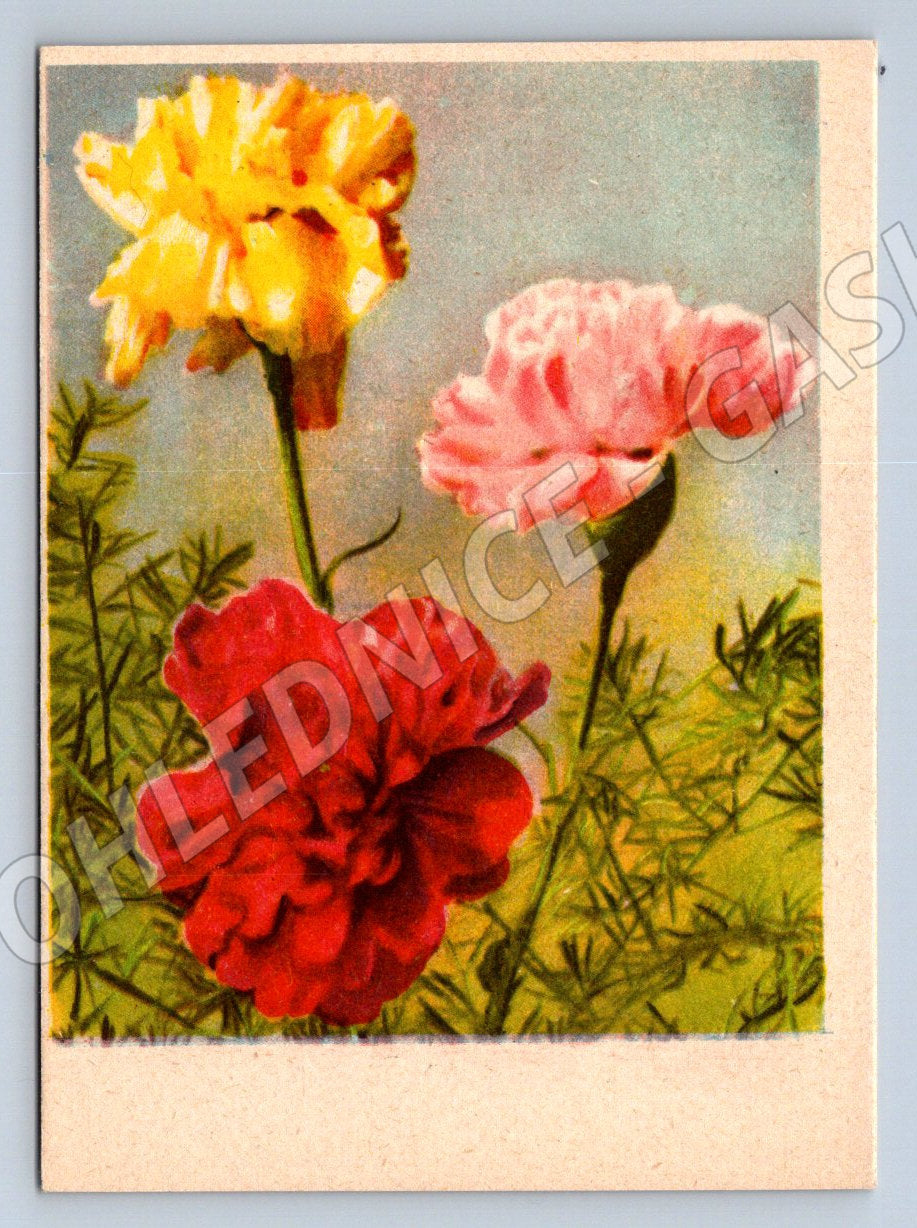 Floral motif three colored flowers (M2485)