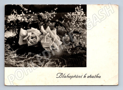 Pohlednice květiny růže Blahopřání k sňatku (M24850)