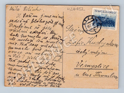Pohlednice Květiny 1925 (M24852)