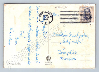 Pohlednice Kytice jiřin malba V. Kratochvíl 1957 (M24859)