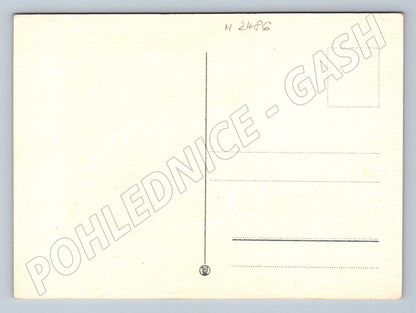 Beautiful postcard flowers ethnography (M2486)