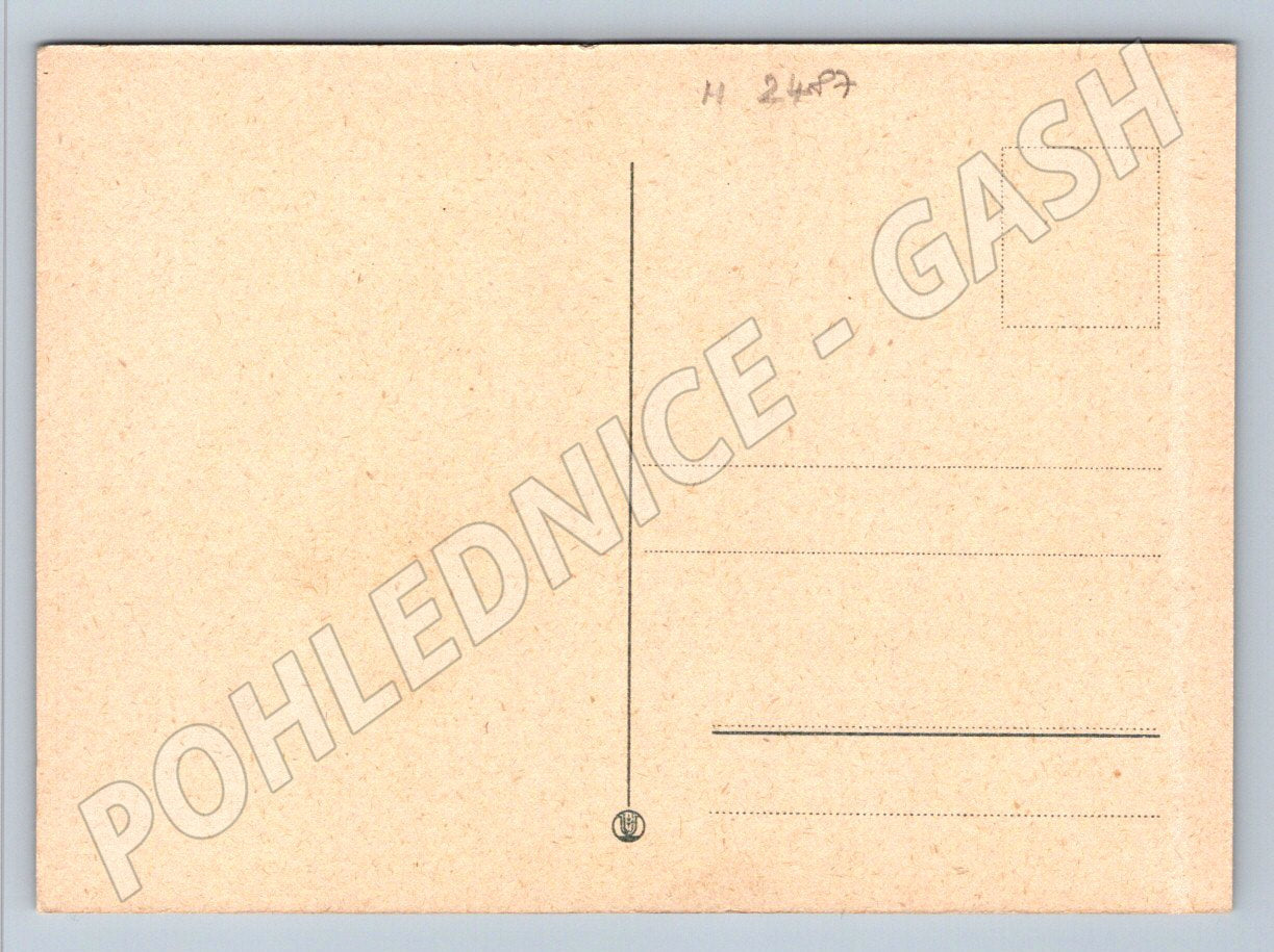 Flowers – three colorful vintage flowers (M2487)