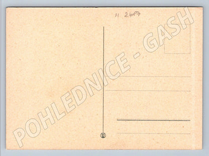 Flowers – three colorful vintage flowers (M2487)