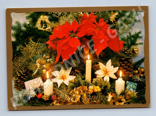 Pohlednice Vánoční aranžmá svíčky a poinsettie 2017 (M24870)