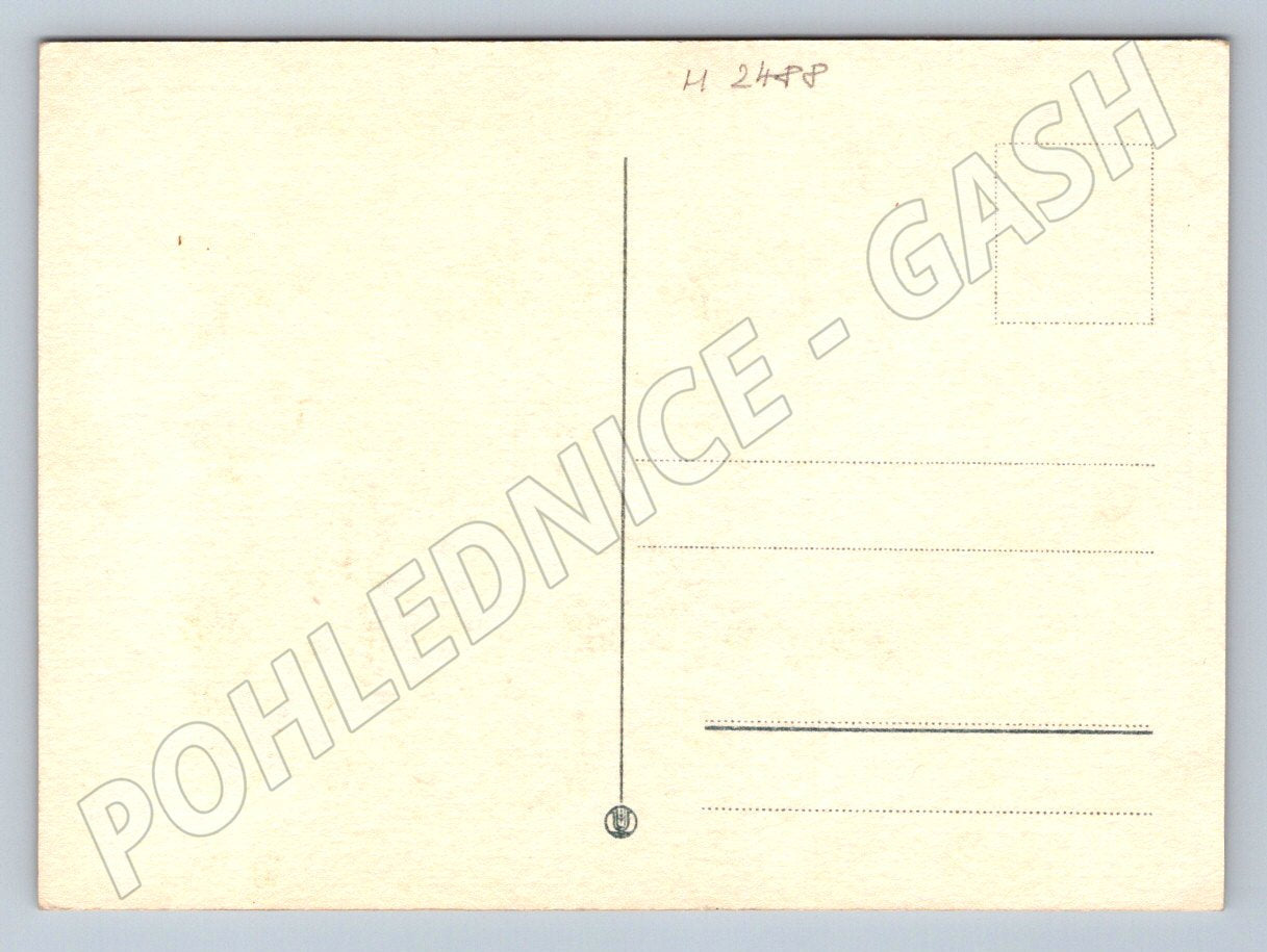 Carnations yellow red pink (M2488)