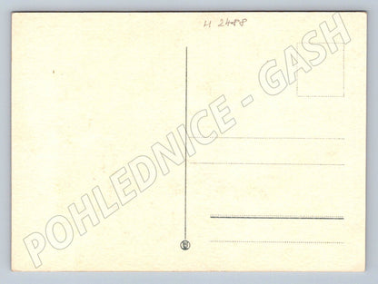 Carnations yellow red pink (M2488)