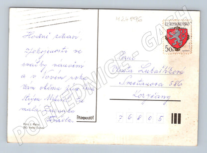 Pohlednice vánoční a novoroční motiv s větvemi a svíčkou (M24896)
