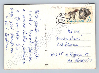 Pohlednice Československo Novoroční zátiší 1975 (M24907)