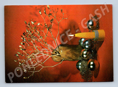 Pohlednice vánoční motiv ptáček svíčka 1972 (M24936)
