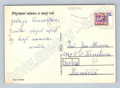 Pohlednice Vánoční brambořík a ozdoby (M25004)