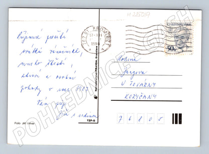 Pohlednice Nový rok svíčka větve 1987 (M25019)