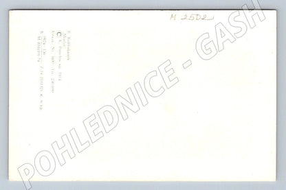 Flowers R. Ballustres 1944 ethnography (M2502)