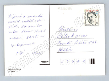 Pohlednice Vánoční svíčka a jablko (M25035)