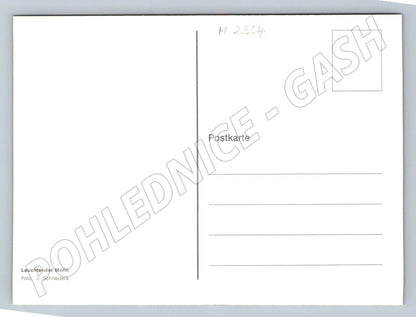 Luminous poppy U. Schneiders (M2504)