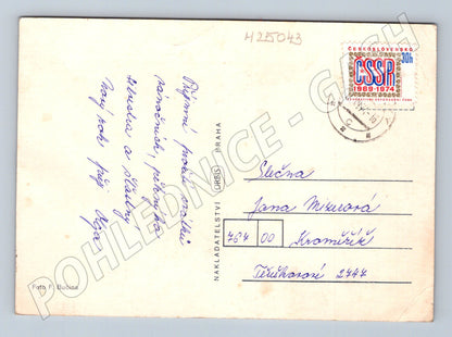 Pohlednice Vánoční motiv jedle šišky svíčka kolem 1970 (M25043)