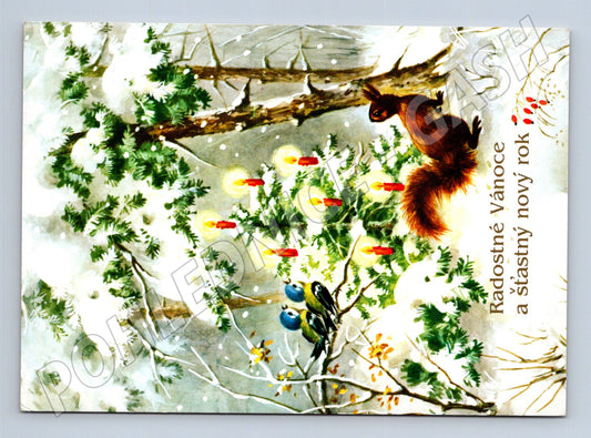 Pohlednice Vánoční motiv veverka ptáčci 1999 (M25045)