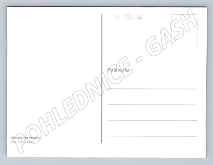 Geranium and Petunia photo by T. Schneiders (M2506)