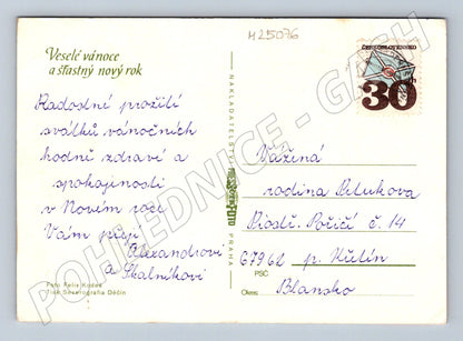 Pohlednice vánoční motiv jablko ořechy (M25076)
