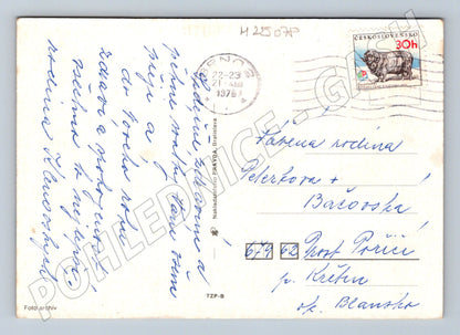Pohlednice vánoční svícen a jehličí 1978 (M25078)