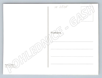 Pompom dahlias color photo (M2508)