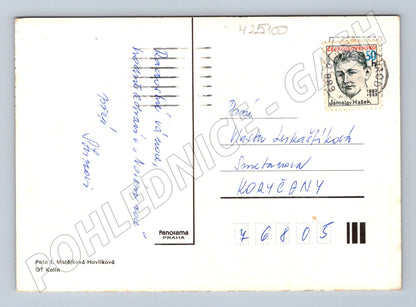 Pohlednice Vánoční svíčky a jedle 1983 (M25100)