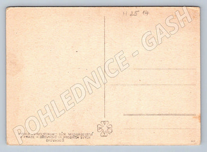 B&amp;W lilies of the valley Vincentinum (M2514)