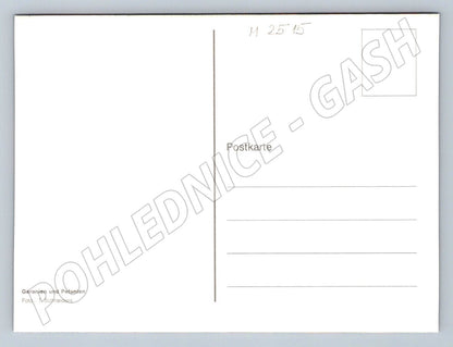 Geranium and Petunia flower photo (M2515)