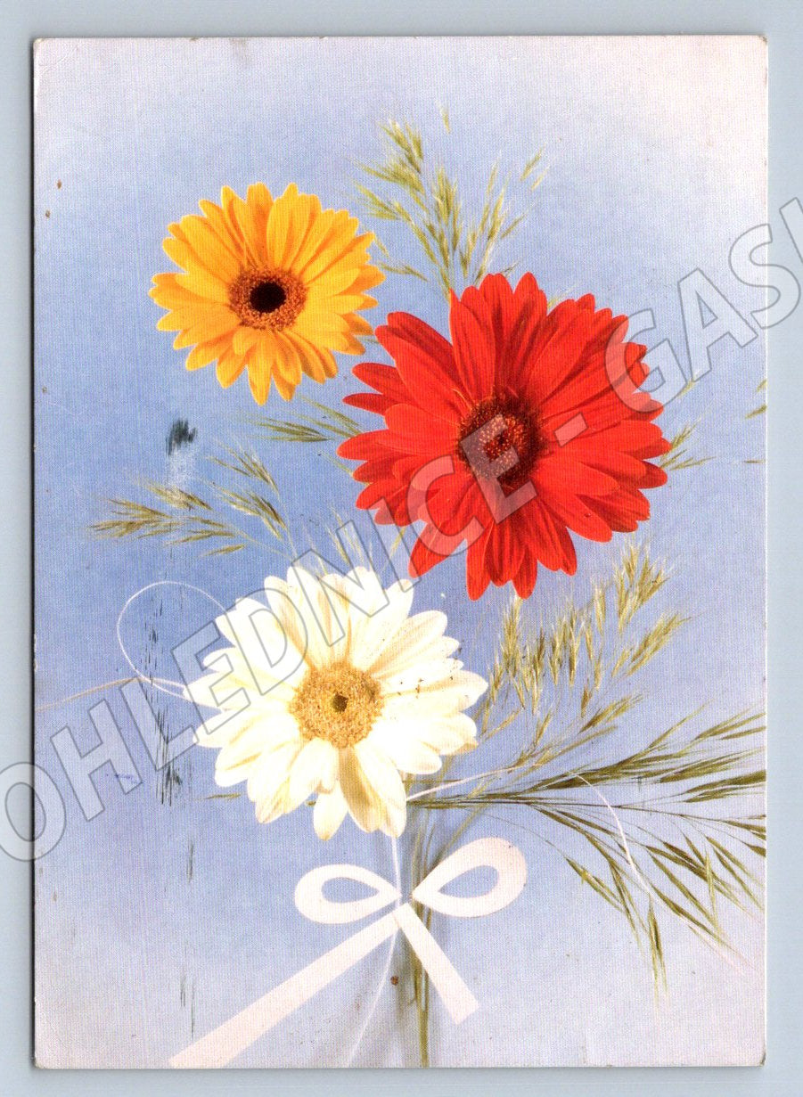 International Women's Day flowers Czechoslovakia (M2516)
