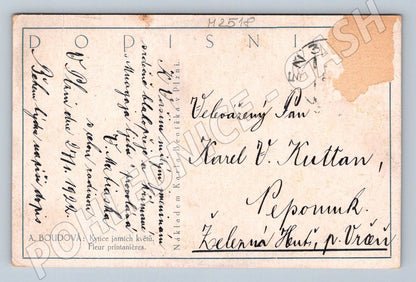 Postcard spring bouquet A. Boudová (M2518)