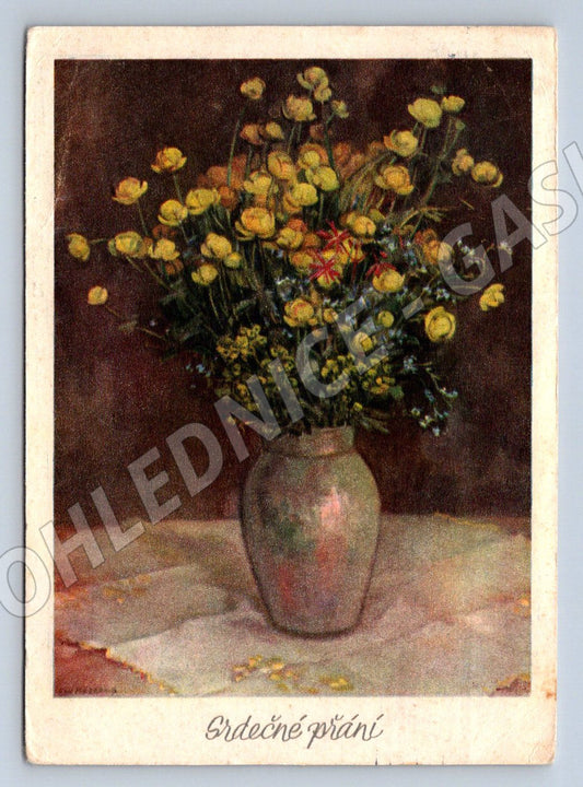 Postcard Julie Mezerová Upolíny (M2520)