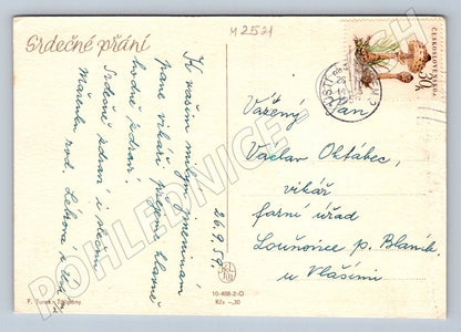 Postcard F. Turek Tulips (M2521)